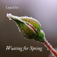 Liquid Air - Waiting for Spring