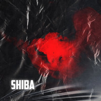 Shiba - Unter Die Augen