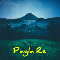 Debasis Payra - Pagla Re