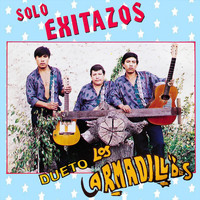 Dueto Los Armadillos - Solo Exitazos