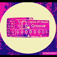 Salvatore Vitrano - Spirit Of House Groove