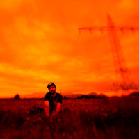 Sam Space - Elephant