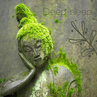 Krishna's Flute - Deep Sleep