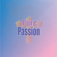 Mizan - Pure Passion