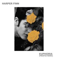 Harper Finn - Euphoria (Pirapus Remix)