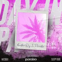 Mecdoux & sleepy dude - Another Day In Paradise