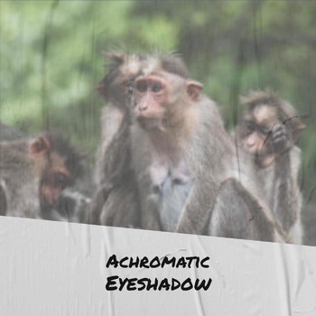Various Artists - Achromatic Eyeshadow