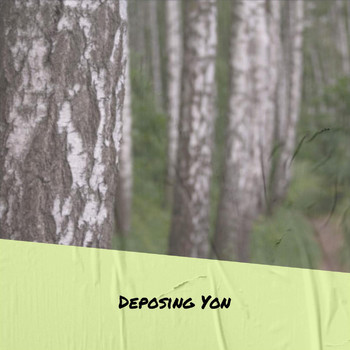 Various Artists - Deposing Yon