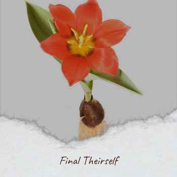 Various Artists - Final Theirself