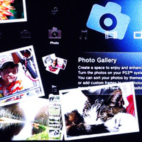 Sparky - it's always sunday