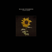 William Fitzsimmons - Your Song