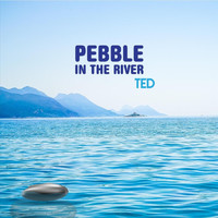 Ted - Pebble in the River