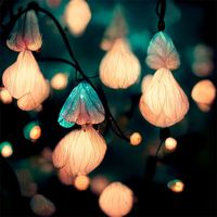 Lee - Fairy Lights