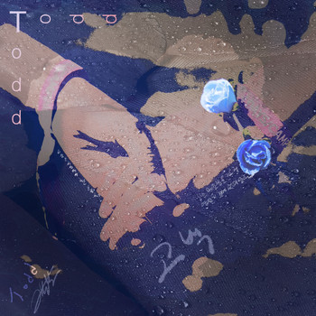 TODD - Propose