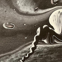 ZipZapZop - Pandemic Outer Space Jams, Pt. 2