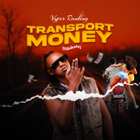 Vyper Ranking - Transport Money
