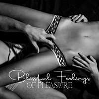 Romantic Evening Jazz Club - Blissful Feelings of Pleasure (Explicit)