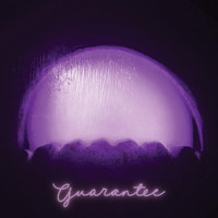 Attenuator - Guarantee
