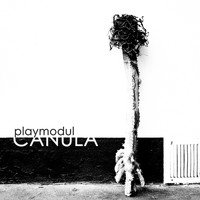 playmodul - Canula