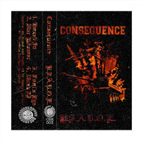 Consequence - H.I.A.P.O.E.