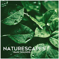 Naturescapes - Rain Sounds