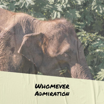 Various Artists - Whomever Admiration