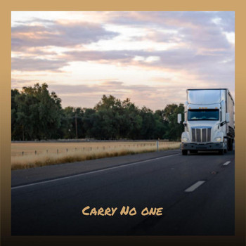 Various Artists - Carry No one