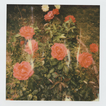girl in red - chapter 2 (Explicit)