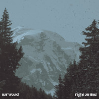 Norwood - Right on Time