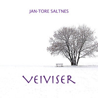 Jan-Tore Saltnes - Veiviser