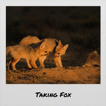 Various Artists - Taking Fox