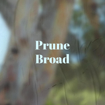 Various Artists - Prune Broad