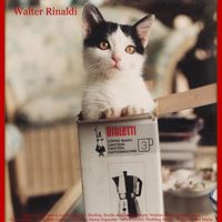 Walter Rinaldi - Listz: Love Dream & La Campanella - Sinding: Rustle of Spring - Chopin: Waltzes & Impromptu - Satie: