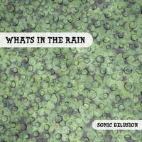 Sonic Delusion - What's in the Rain