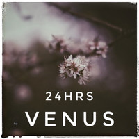 Venus - 24 Hrs