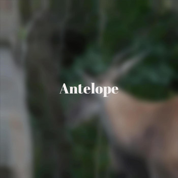 Various Artists - Antelope