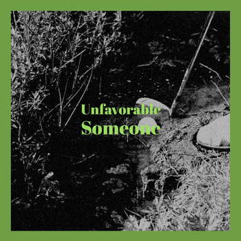 Various Artists - Unfavorable Someone