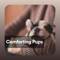 Dog Music Therapy - Comforting Pups