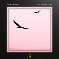 Harry Waters - She Stands Alone