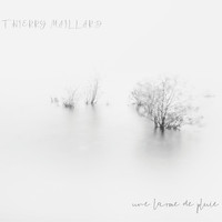 Thierry Maillard - Une larme de pluie