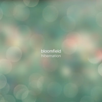 Bloomfield - Hibernation (Noise)