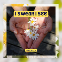 Shaun Red - I Swear I See