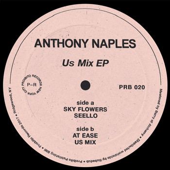 Anthony Naples - Us Mix