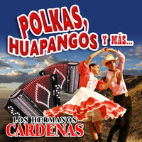 Los Hermanos Cardenas - Polkas, Huapangos y Más…
