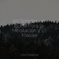 Masajes Spas, Musica Relajante Specialistas, Relajación - 50 Sonidos en Bucle Para la Meditación y El Masaje