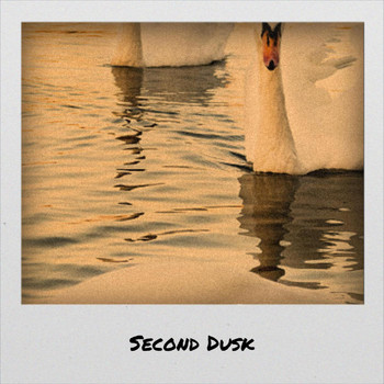 Various Artists - Second Dusk