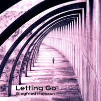 Siegfried Hajszan - Letting Go