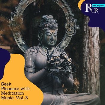 Various Artists - Seek Pleasure with Meditation Music, Vol. 3