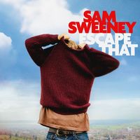 Sam Sweeney - Want to Fly Want to Flee