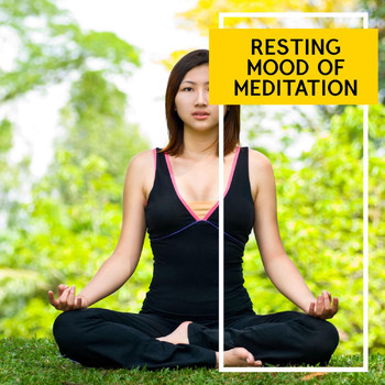 Various Artists - Resting Mood of Meditation